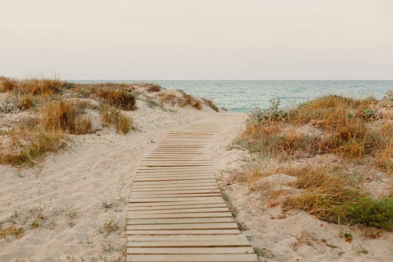 Things To Do https://ameliabestvrr.icnd-cdn.com/images/thingstodo/CFD2385Faccess to beach.jpg